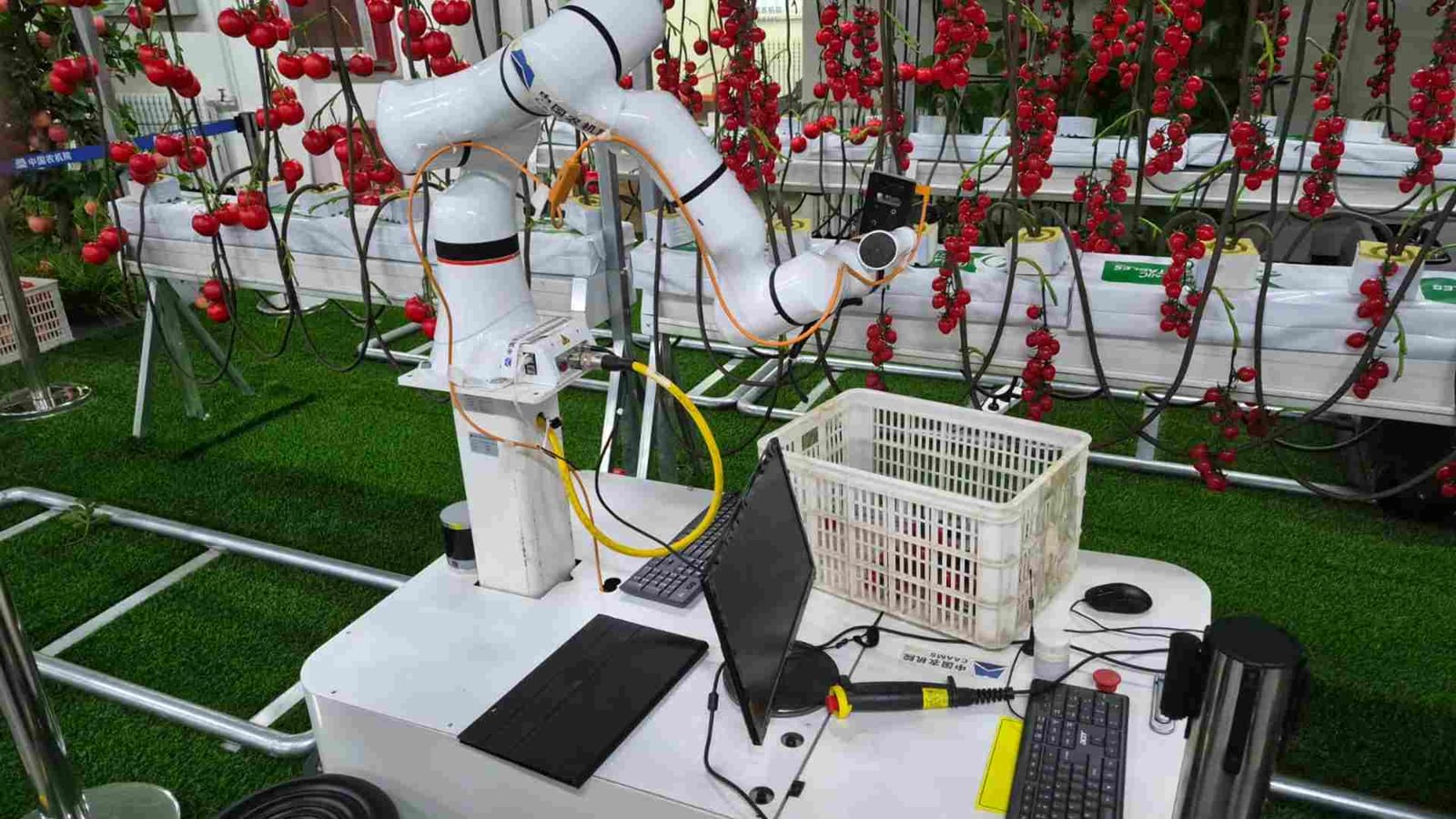 Embrapa e instituições chinesas firmam parceria para fortalecer IA e blockchain voltada à agricultura familiar